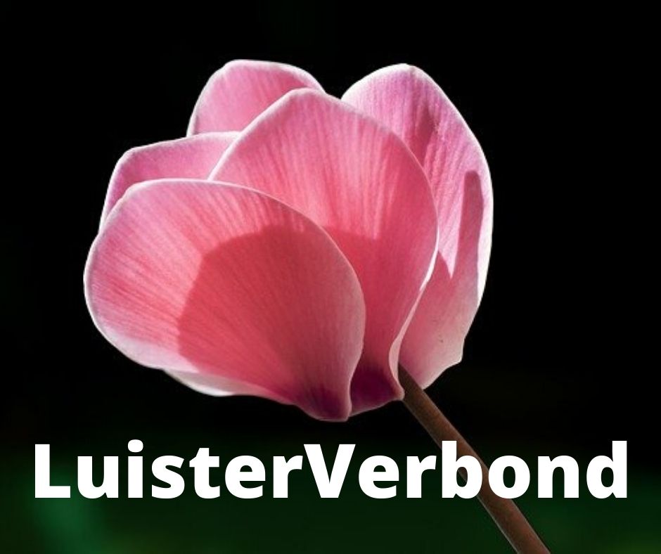 Logo LuisterVerbond 01